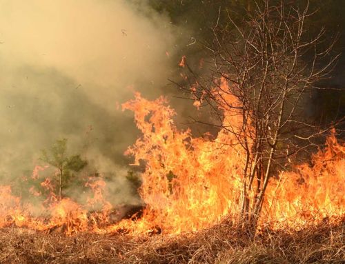 Baron & Budd Files Lawsuit Against Liberty Utilities on Behalf of Mono County, Antelope Valley Fire Protection District, Toiyabe Indian Health Project, and Bridgeport Indian Colony for Mountain View Fire Damage