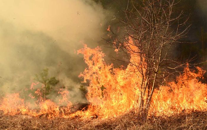 The Mountain View Fire burned through 20,385 acres and destroyed or damaged nearly 100 homes