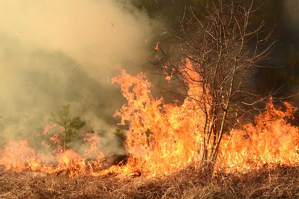 Baron & Budd Files Lawsuit Against Liberty Utilities on Behalf of Mono County, Antelope Valley Fire Protection District, Toiyabe Indian Health Project, and Bridgeport Indian Colony for Mountain View Fire Damage