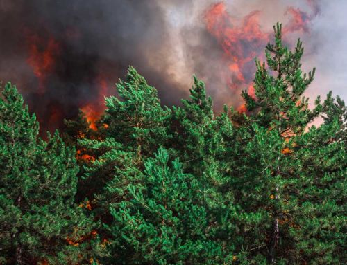 Robertson & Associates and Baron & Budd Announce $20 Million Settlement With Southern California Edison on Behalf of Mountains Recreation & Conservation Authority for 2018 Woolsey Fire Lawsuit
